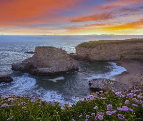 Plaża Shark Fin Cove, Zachód słońca, Stany Zjednoczone, Ocean Spokojny, Wybrzeże, Morze, Kwiaty, Kalifornia, Davenport, Hrabstwo Santa Cruz, Skały