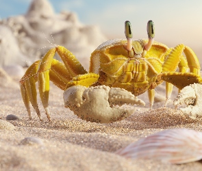 Krab, Piasek, Żółty