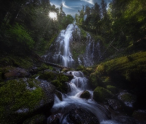 Omszałe, Wodospad Proxy Falls, Promienie słońca, Stan Oregon, Willamette National Forest, Stany Zjednoczone, Góra North Sister, Drzewa, Kamienie, Skała, Pasmo górskie Cascade Range