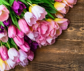 Kolorowe, Drewno, Tulipany