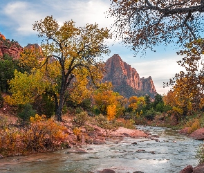 Góry Watchman, Park Narodowy Zion, Stany Zjednoczone, Rzeka Virgin River, Kamienie, Stan Utah, Drzewa