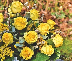 Kwiaty, Bazie, Róże, Żółte
