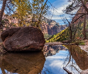 Kanion, Skały, Góry, Drzewa, Stan Utah, Kałuża, Stany Zjednoczone, Park Narodowy Zion
