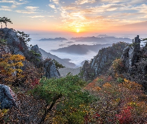Drzewa, Mgła, Park Prowincjonalny Daedunsan, Skały, Jesień, Sosny, Korea Południowa, Wschód słońca