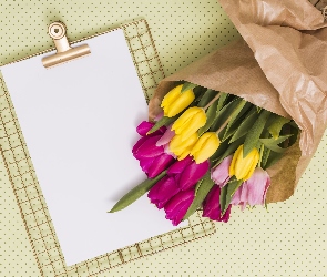 Kwiaty, Kartka, Tulipany, Papier, Kolorowe