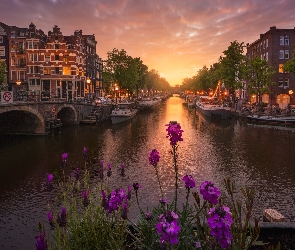 Amsterdam, Holandia, Zachód słońca, Kanał, Most, Kwiaty, Domy