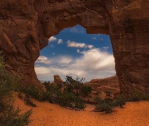 Skały, Stany Zjednoczone, Park Narodowy Arches, Stan Utah, Rośliny