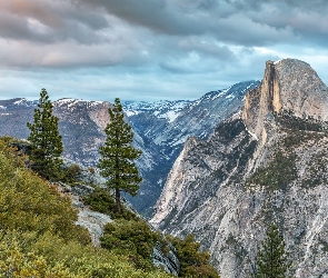 Drzewa, Szczyt Half Dome, Stan Kalifornia, Stany Zjednoczone, Park Narodowy Yosemite, Góry