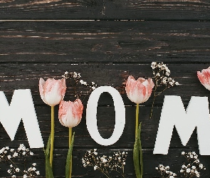 Tulipany, Dzień Matki, Deski, Gipsówki, Kwiaty