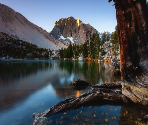 Kalifornia, Stany Zjednoczone, Lasy, Sierra Nevada, Jezioro Big Pine Lakes, Drzewo, Góry