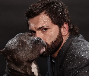 Amerykański pitbulterier, Pies, Andrei Arlovski, Pit Bull Terrier, MMA, Sportowiec, Sztuki walki