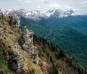 Góry, Dolina, Drzewa, Skały