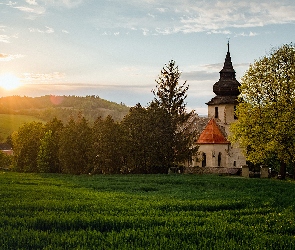 Kościół, Wzgórze, Trawa, Drzewa, Wschód słońca