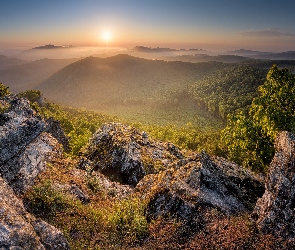 Drzewa, Mgła, Karpaty, Słowacja, Wschód słońca, Góry, Skały