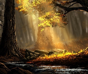 Las, Drzewa, 2D, Kamienie, Przebijające światło, Rzeka