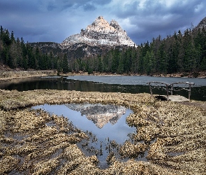 Mostek, Tre Cime di Lavaredo, Masyw, Drzewa, Jezioro, Prowincja Belluno, Antorno Lake, Góry, Włochy, Dolomity