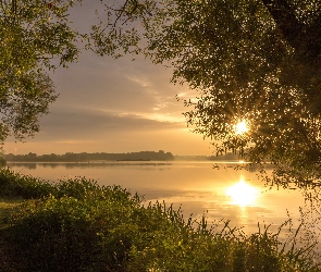 Jezioro, Wschód słońca, Brzeg, Ścieżka, Drzewa