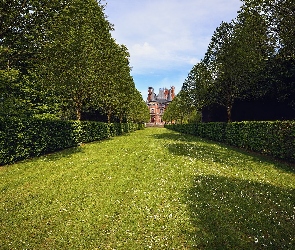 Chateau de Trevarez, Drzewa, Zamek, Żywopłot, Bretania, Ogród, Francja, Saint-Goazec