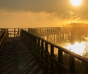 Mgła, Federsee, Jezioro, Niemcy, Wschód słońca, Trawa, Górna Szwabia, Pomost