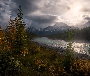 Chmury, Jesień, Drzewa, Ciemne, Park Narodowy Jasper, Prowincja Alberta, Góry Skaliste, Rzeka, Kanada, Miette River