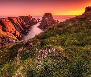 Zachód słońca, Przylądek Malin Head, Trawy, Irlandia, Hrabstwo Donegal, Kwiaty, Morze, Skały, Łąka