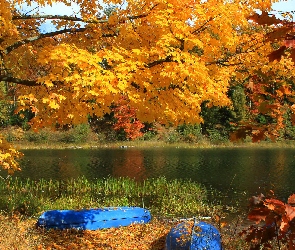Drzewa, Łódki, Jesień, Jezioro