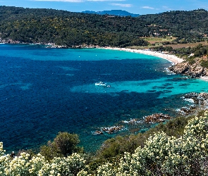 Saint Tropez, Plaża, Lazurowe Wybrzeże, Francja, Żaglówka, Zatoka, Riwiera Francuska