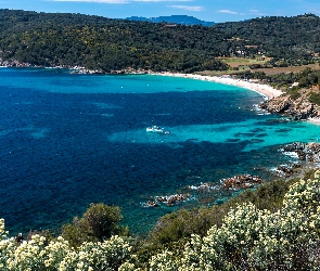 Lazurowe Wybrzeże, Zatoka, Francja, Żaglówka, Plaża, Saint Tropez, Riwiera Francuska