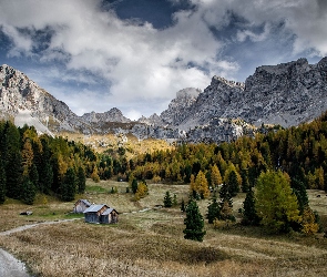Domki, Ścieżka, Góry, Drzewa, Chmury, Włochy, Dolomity, Pozza di Fassa, Łąki, Dolina Fassa, Val di Fassa