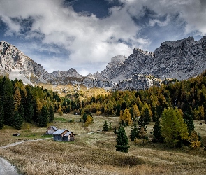 Domki, Łąki, Włochy, Dolomity, Dolina Fassa, Góry, Drzewa, Pozza di Fassa, Ścieżka, Chmury, Val di Fassa