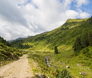 Austria, Tyrol, Drzewa, Góry, Droga, Gmina Axams