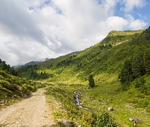 Góry, Drzewa, Austria, Gmina Axams, Tyrol, Droga