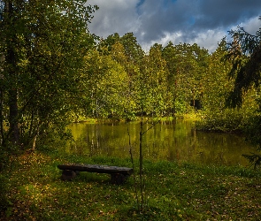 Chmury, Drzewa, Staw, Ławka