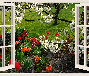 Ogród, Kwiaty, Okno, Kwitnące, Trawa, Drzewa, Wiosna, Tulipany