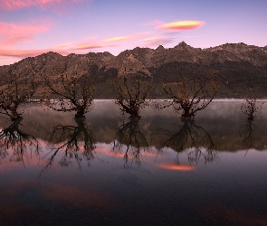 Wierzby, Drzewa, Nowa Zelandia, Jezioro, Wakatipu, Wschód słońca, Rząd, Queenstown, Odbicie, Glenorchy, Jesień