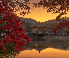 Pawilon Ukimido, Zachód słońca, Jesień, Most, Nara Park, Japonia, Staw, Nara, Altana, Sagiike, Gałęzie