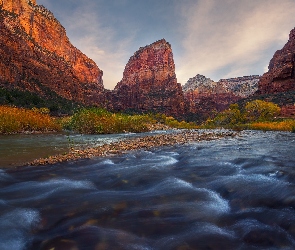 Jesień, Drzewa, Virgin River, Trawa, Park Narodowy Zion, Stan Utah, Skały, Góry, Stany Zjednoczone, Rzeka