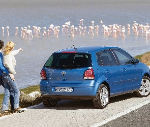 Volkswagen Polo, Hatchback, Miejski