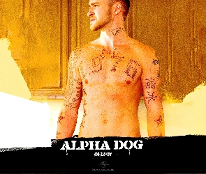 Justin Timberlake, Alpha Dog