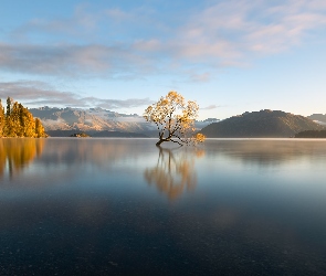 Drzewo, Nowa Zelandia, Jesień, Góry, Jezioro Wanaka