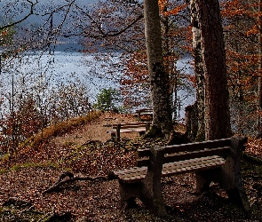 Jezioro, Liście, Ławki, Drzewa, Jesień