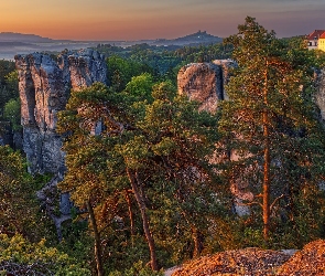 Skały, Zamek Hruba Skala, Formacje skalne, Skalne Miasto, Góry Stołowe, Drzewa, Czechy, Czeski Raj