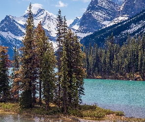Wyspa Ducha, Jezioro Maligne, Alberta, Drzewa, Góry, Kanada, Park Narodowy Jasper