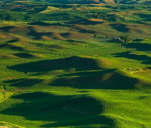 Stany Zjednoczone, Stan Waszyngton, Droga, Wzgórza, Pola, Region Palouse