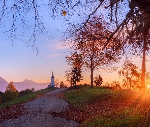 Jesień, Drzewa, Droga, Promienie słońca, Begunje na Gorenjskem, Wieś, Góry, Wzgórze, Słowenia, Kościół św Piotra