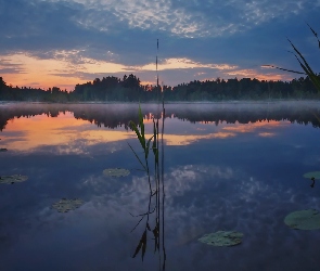 Chmury, Trawa, Mgła, Jezioro, Zachód słońca