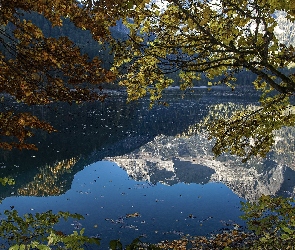 Jezioro, Odbicie, Drzewa, Gałęzie, Góry