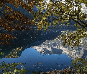 Góry, Odbicie, Gałęzie, Drzewa, Jezioro