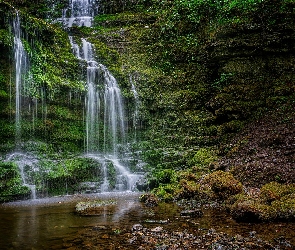 Wodospad, Hrabstwo North Yorkshire, Kamienie, Anglia, Rośliny, Skały, Scaleber Force Falls, Park Narodowy Yorkshire Dales, Omszałe