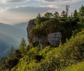 Drzewa, Skały, Dolina, Mgła, Góry